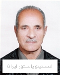 ادهم محمدی
